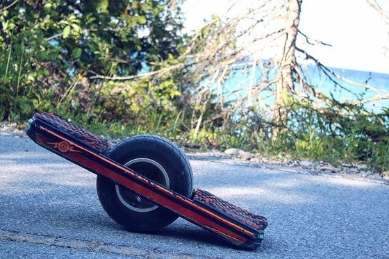 planche à roulettes manuelle de roue de 10.5Ah 700W un avec la garde Rail